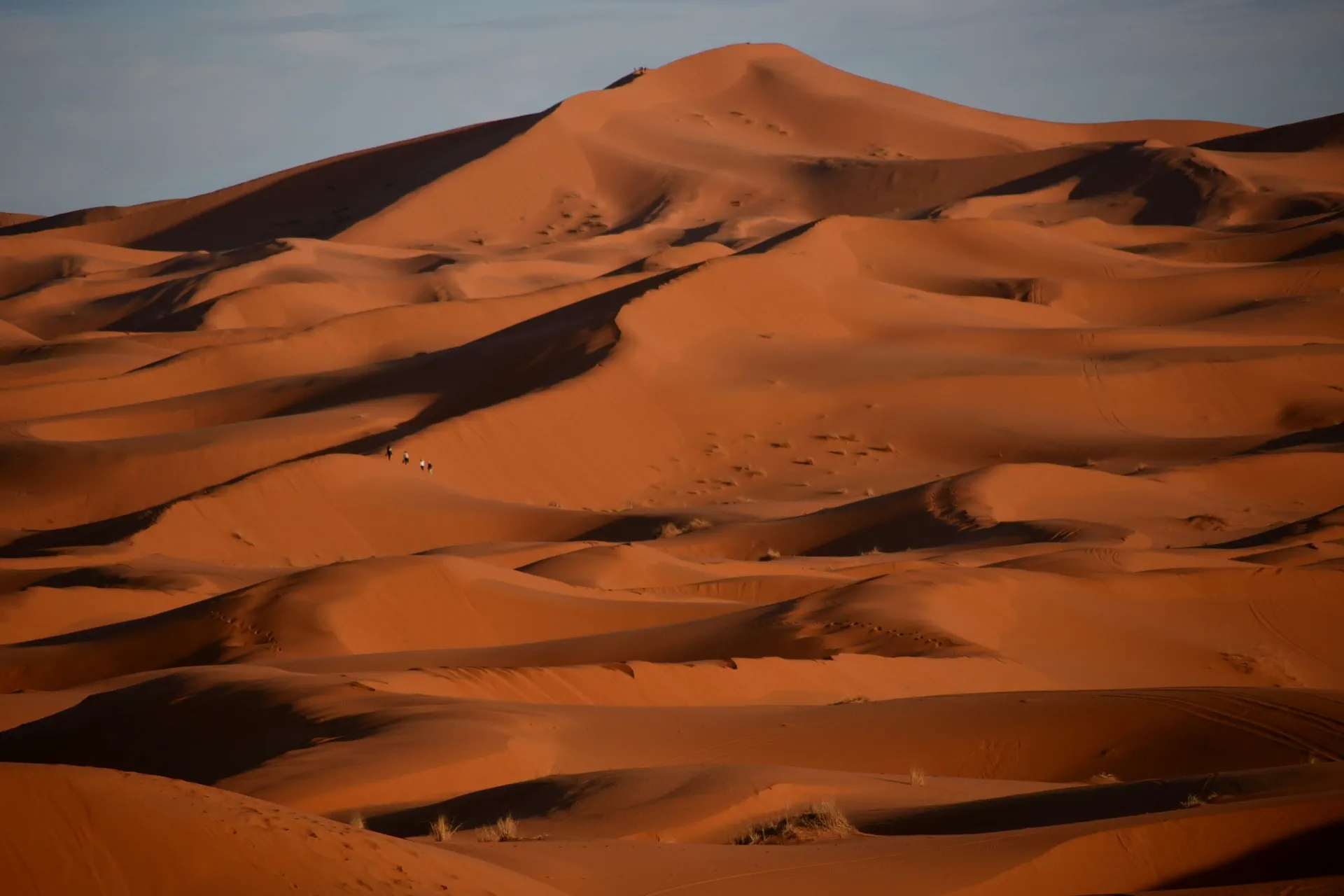 Dunes of the Merzouga Desert